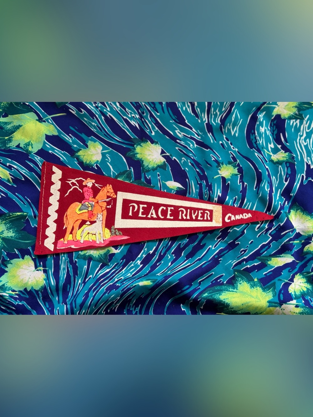 ✨Vintage 50’s Peace River AB Pennant Felt Flag✨
